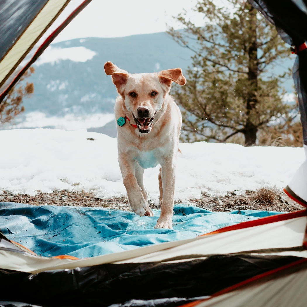 Rumpl Everywhere Mat - Ocean Fade 9 Rumpl Everywhere Mat - Ocean Fade - Image 7